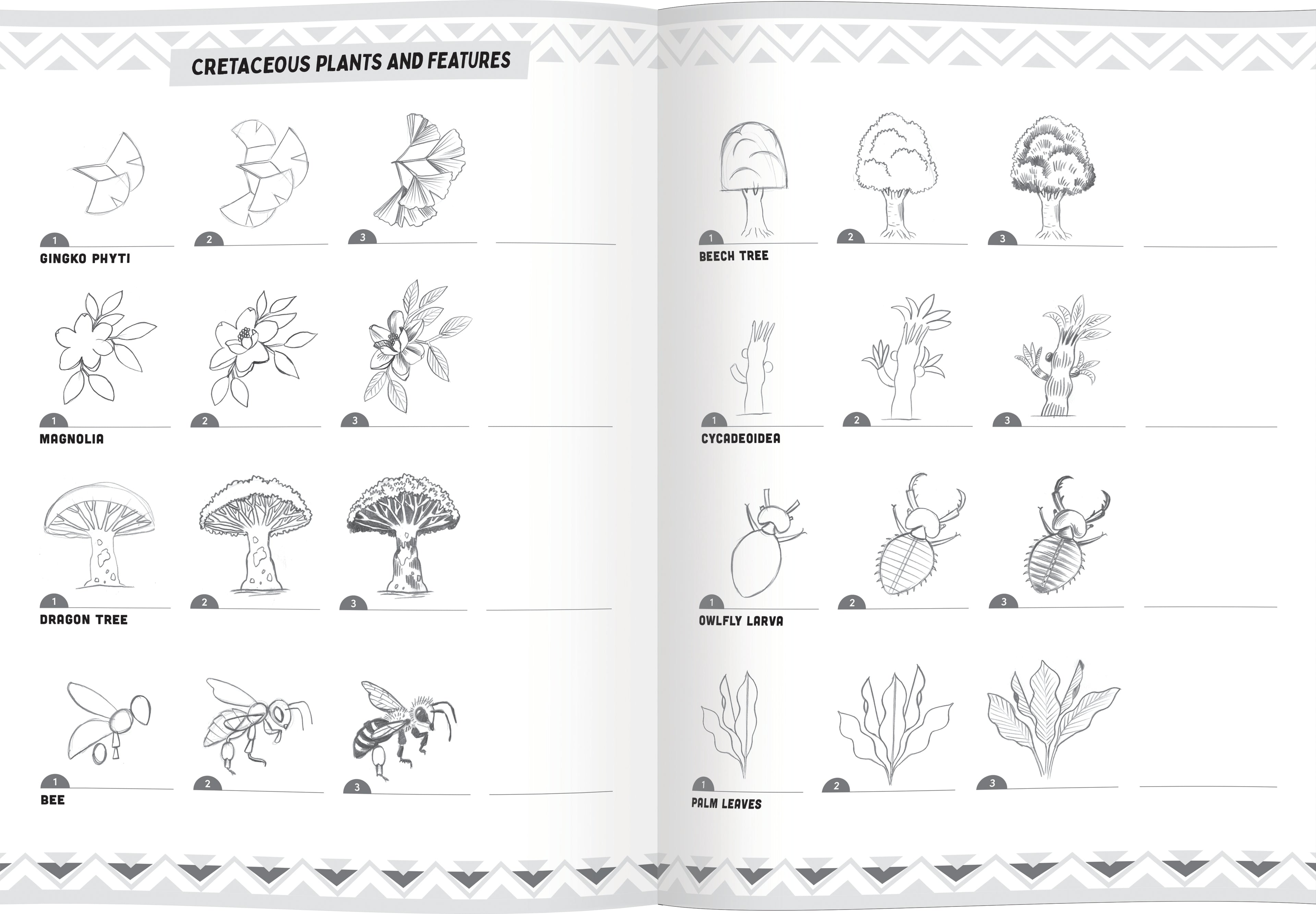 Learn to Draw Dinosaurs by eeBoo | Unique Fun Gifts