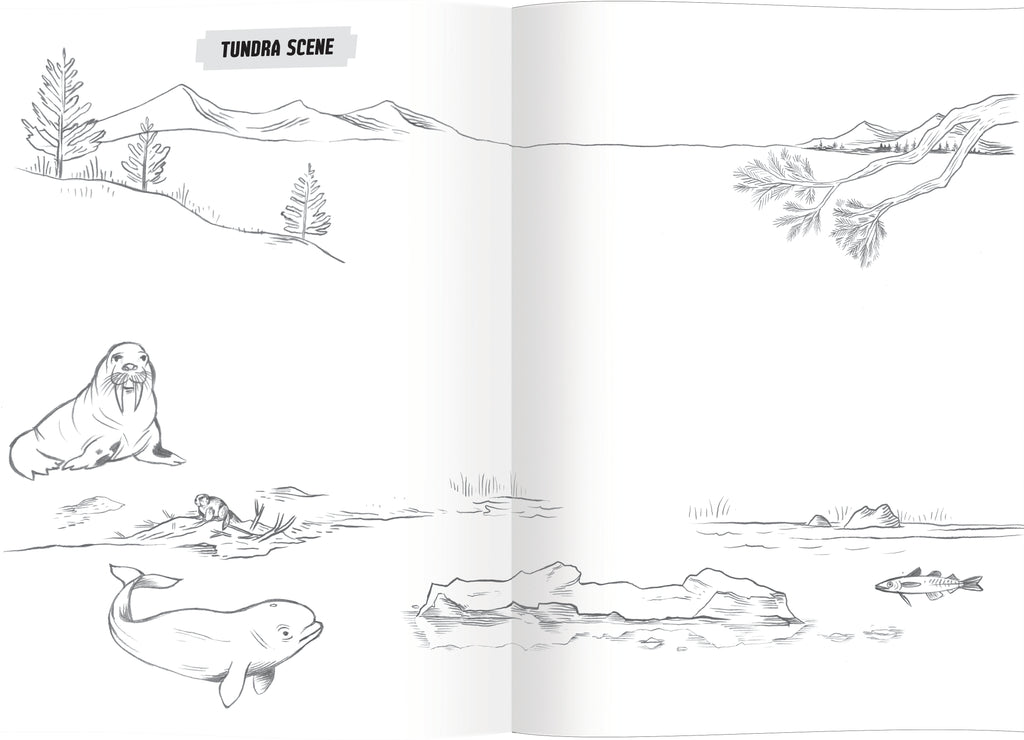 Learn to Draw Wild Animals by eeBoo | Unique Fun Gifts