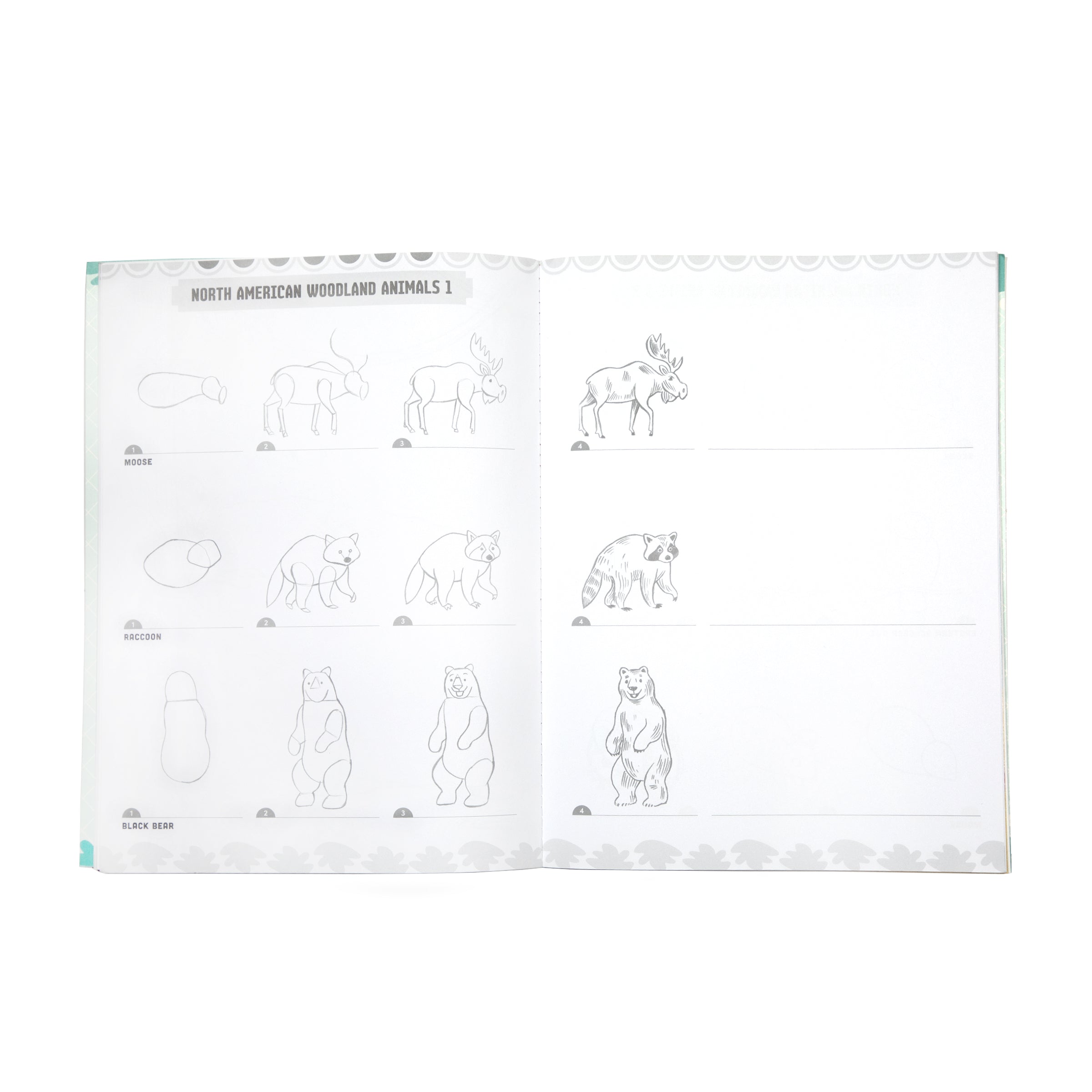 Learn to Draw Wild Animals