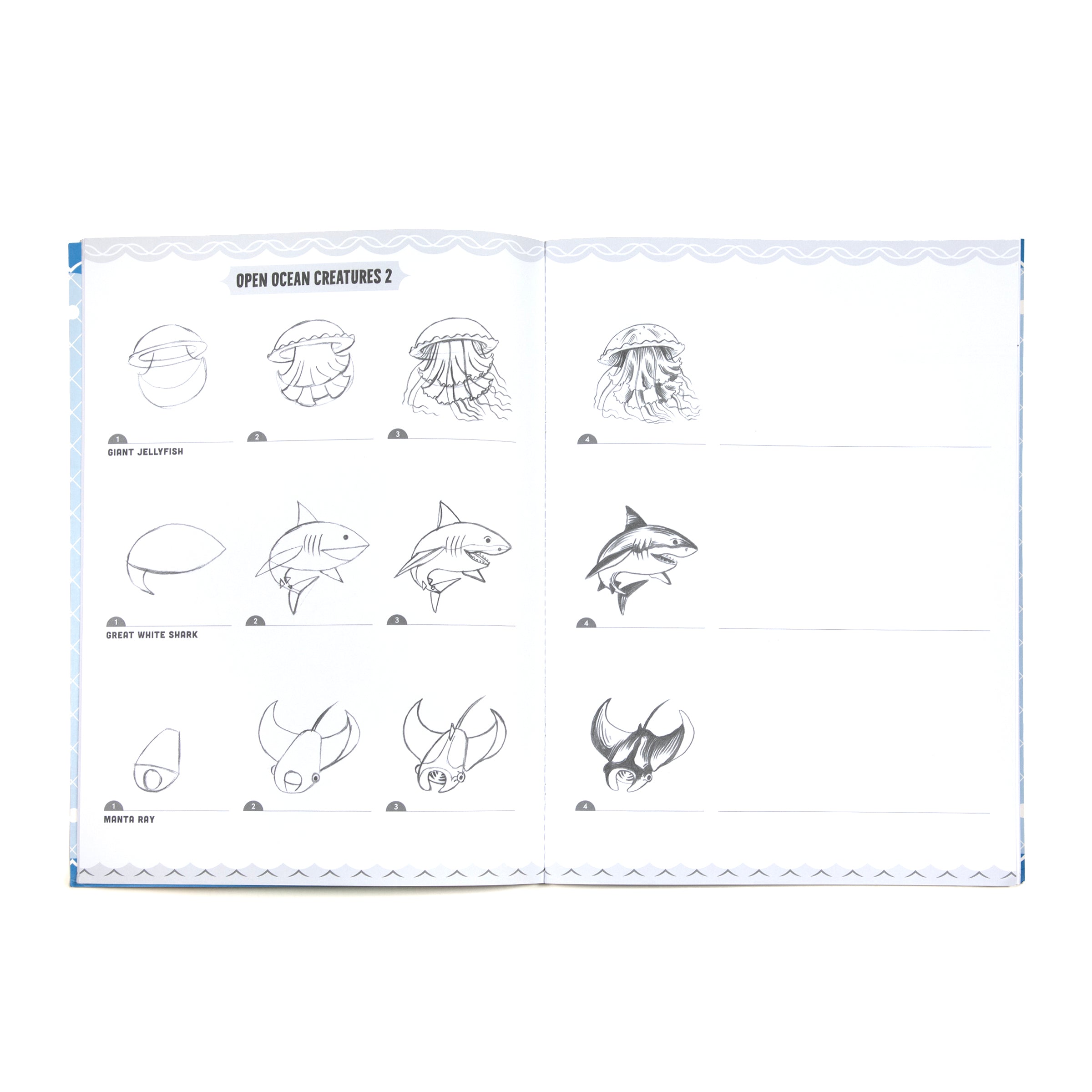 Learn to Draw Under the Sea