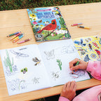 Learn to Draw Bugs, Birds, & Butterflies