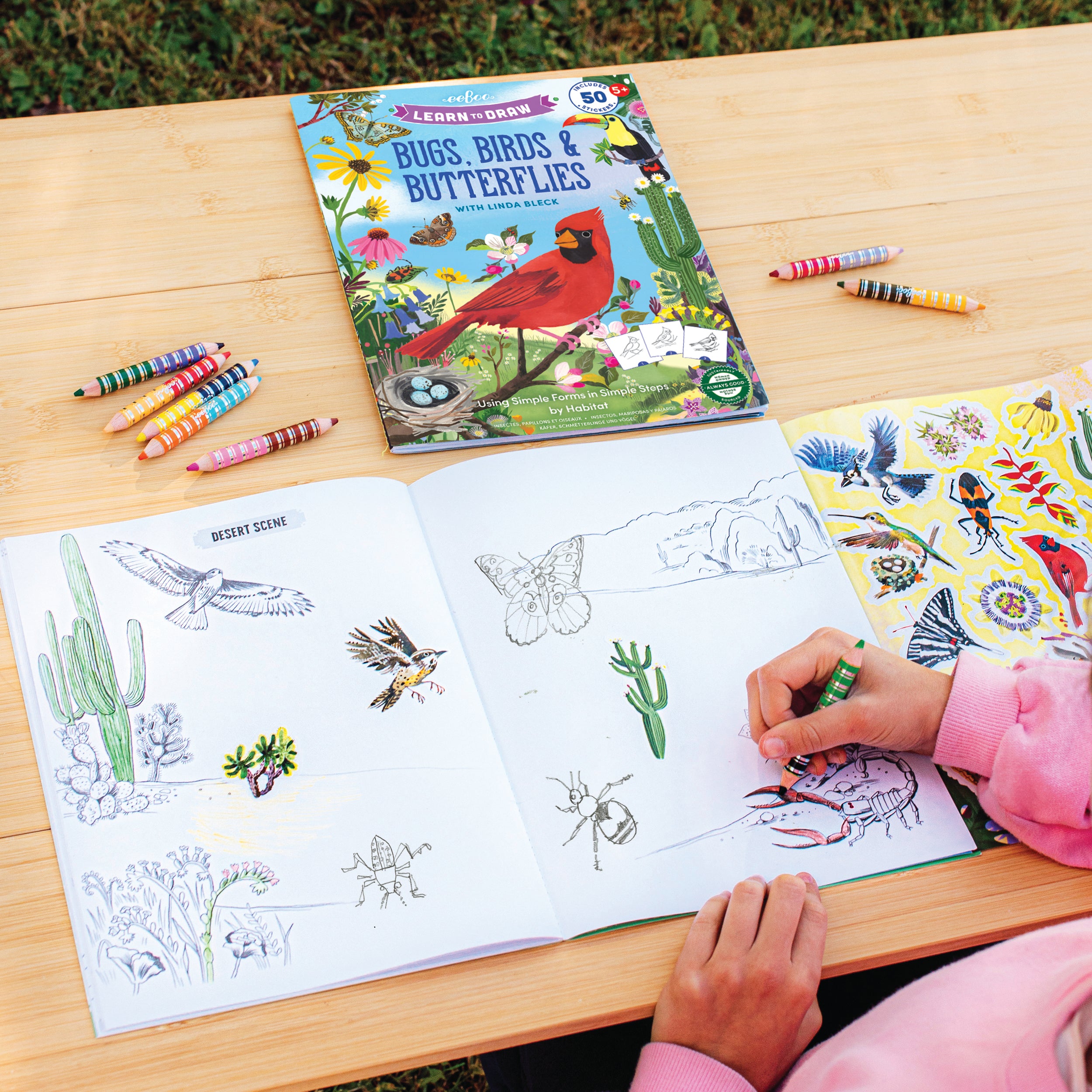 Learn to Draw Bugs, Birds, & Butterflies