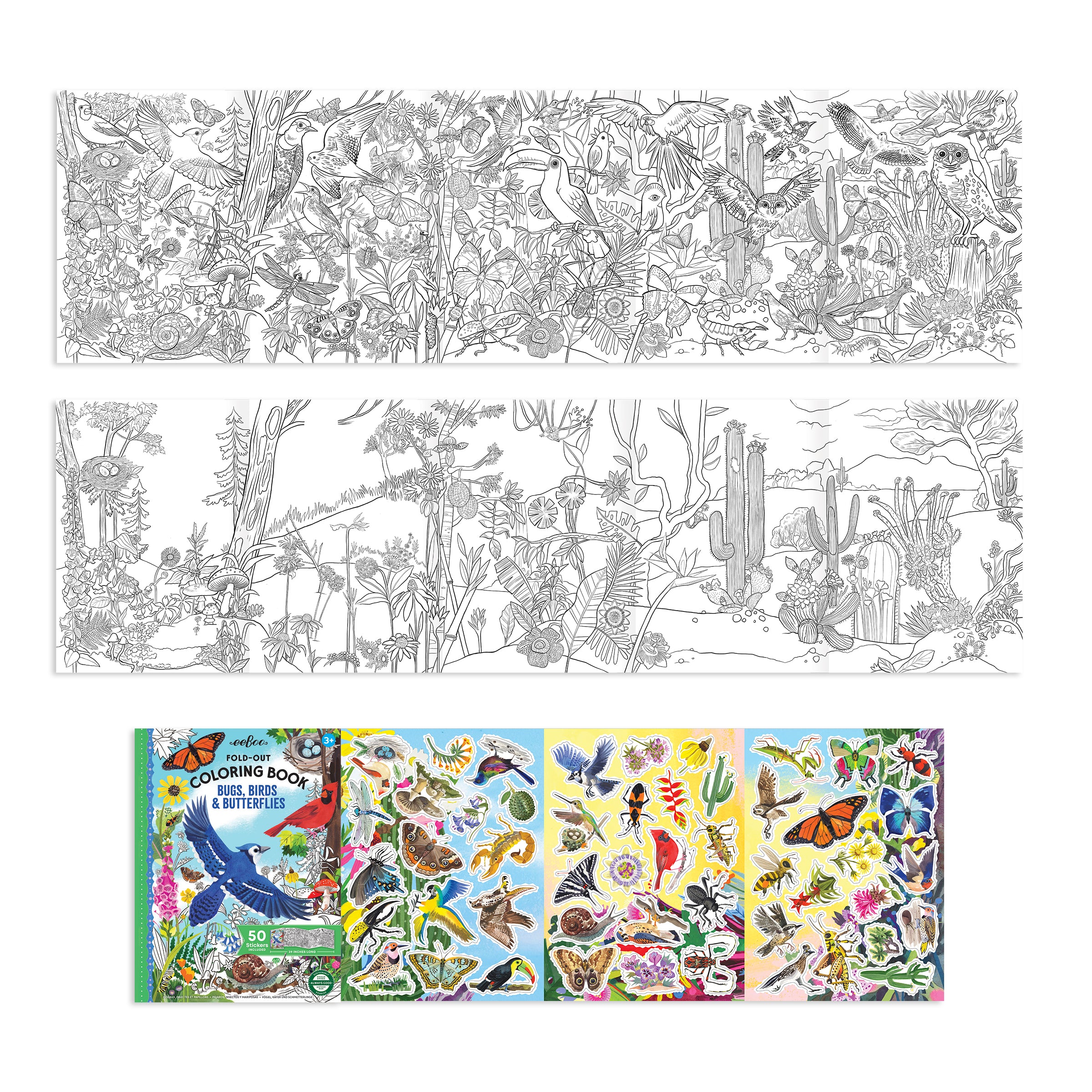 Bugs, Birds, & Butterflies Fold-Out Coloring Book