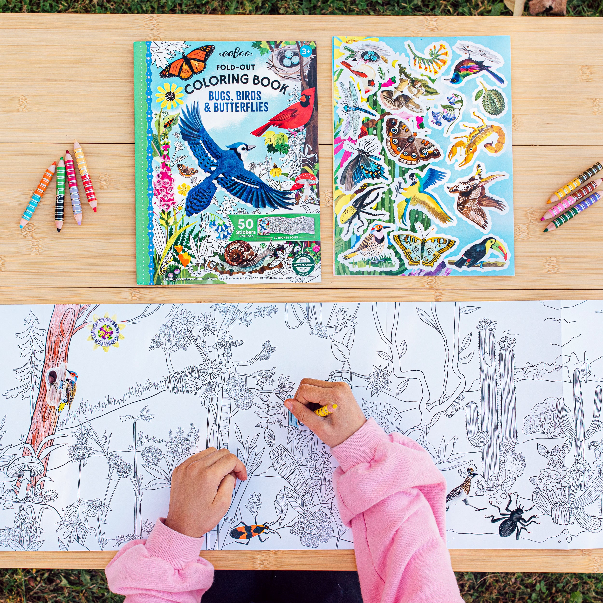 Bugs, Birds, & Butterflies Fold-Out Coloring Book