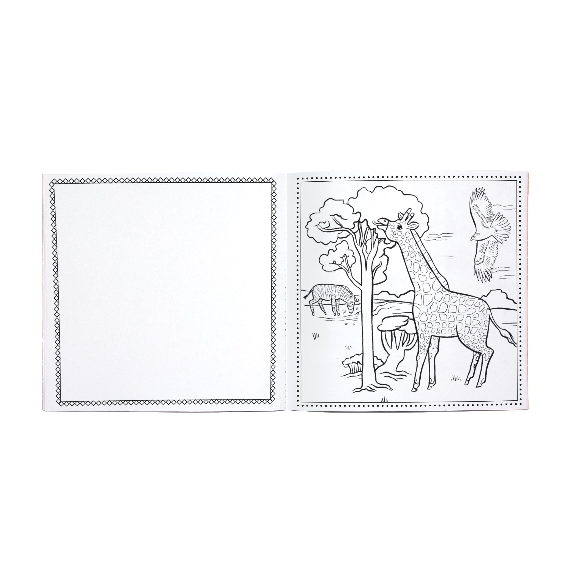 Wild Animals Square Coloring Book