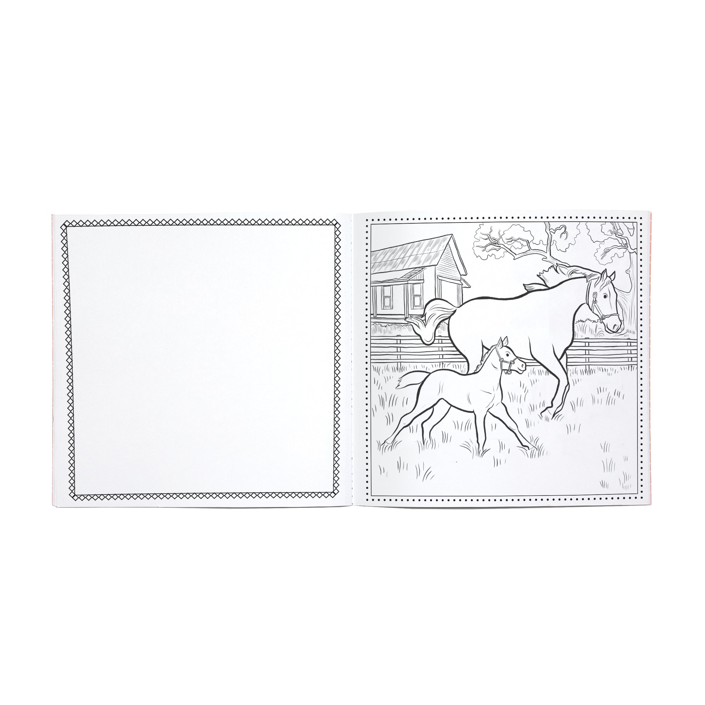 Farm Square Coloring Book