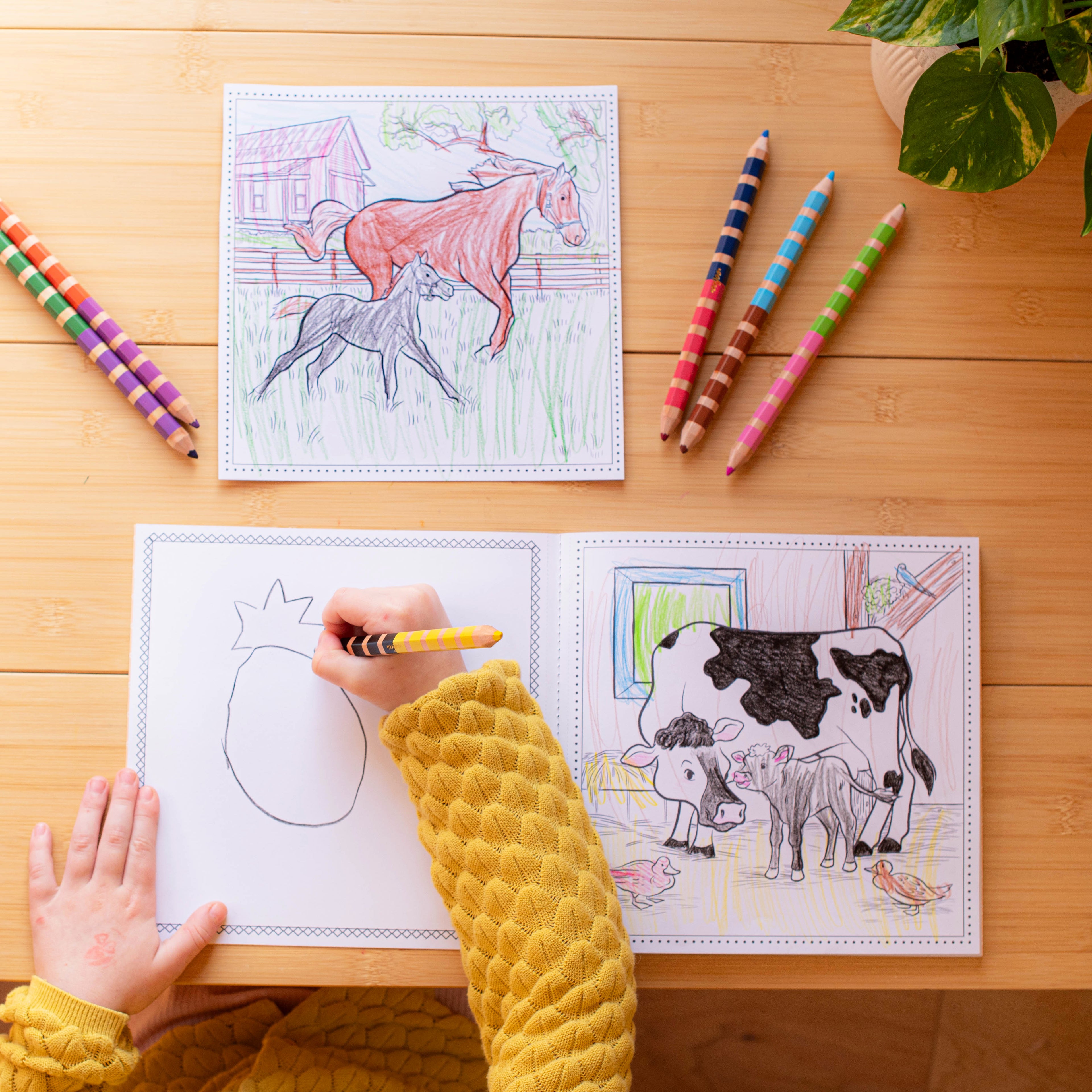 Farm Square Coloring Book