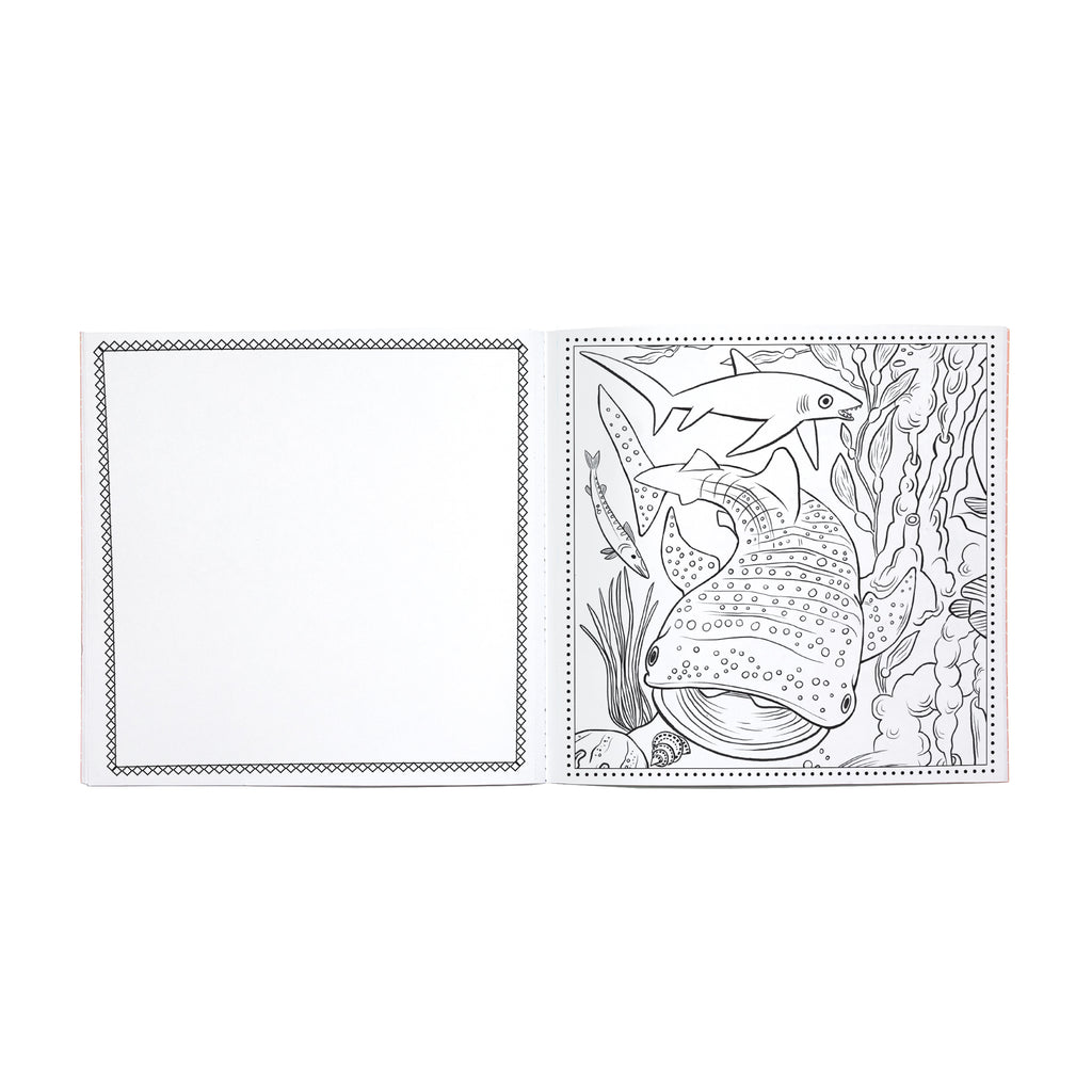 Sea Life Square Coloring Book