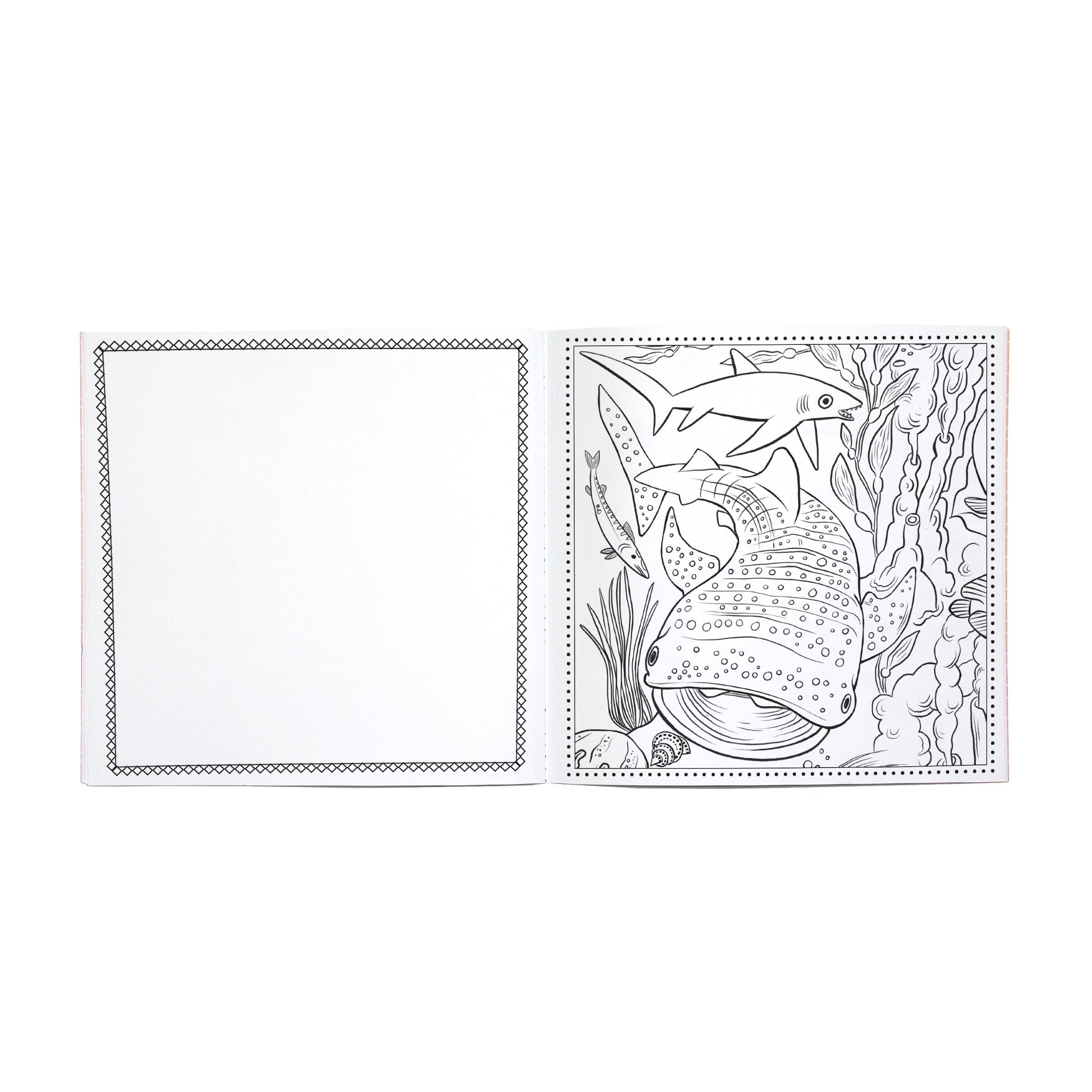 Sea Life Square Coloring Book
