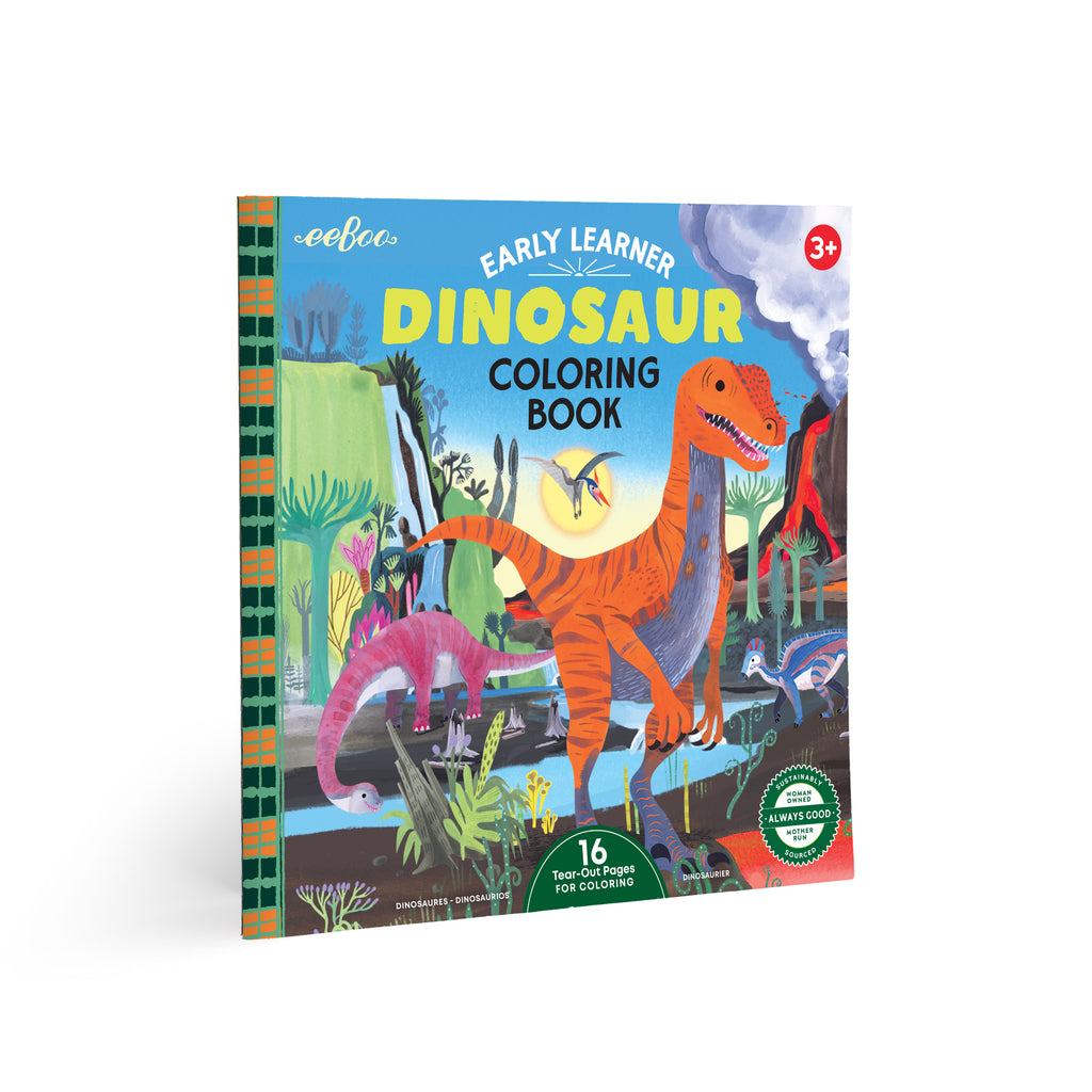 Dinosaur Square Coloring Book
