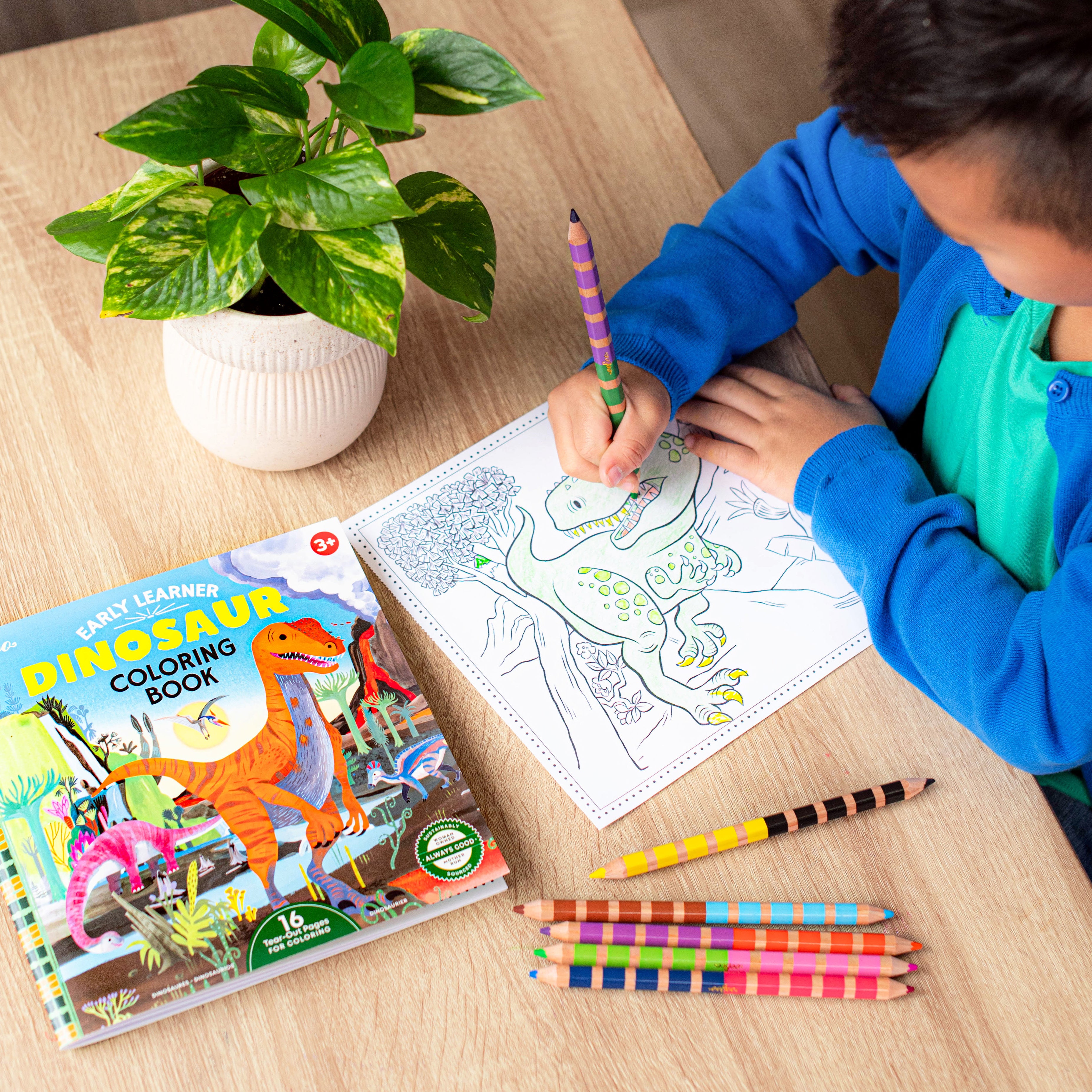 Dinosaur Square Coloring Book