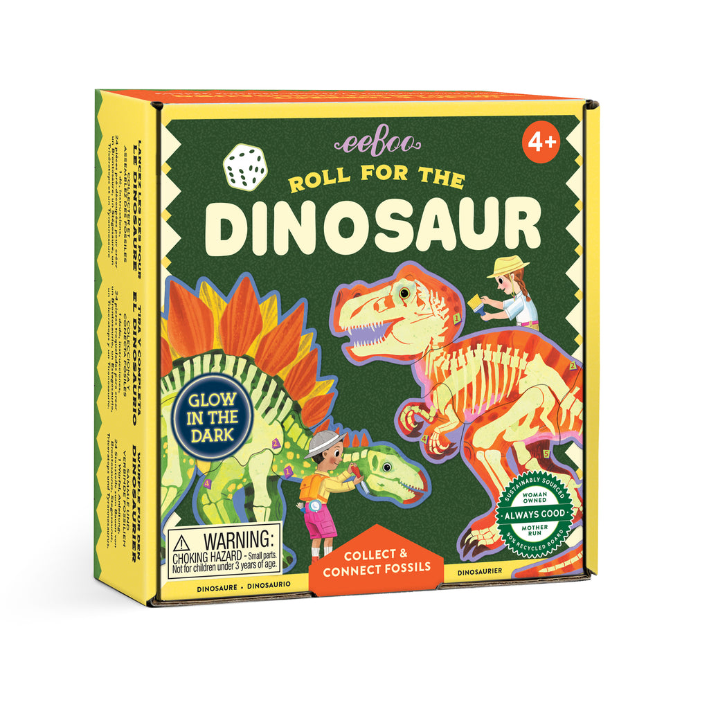 Dinosaur-themed toy packaging with colorful graphics 
