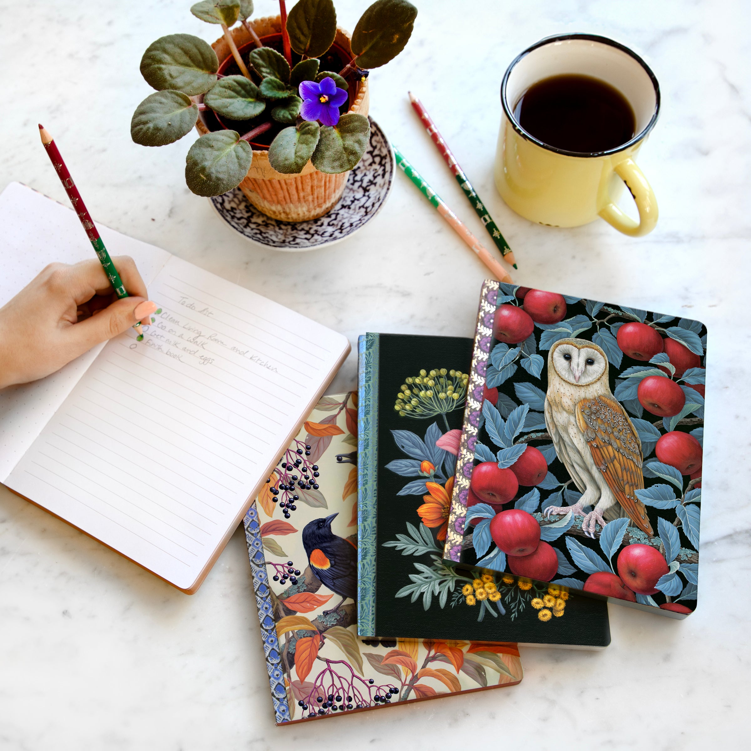 Autumn Blackbirds Journal