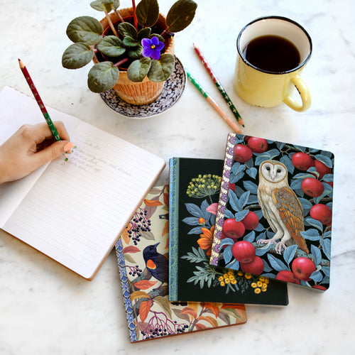 Barn Owl Journal