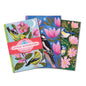 Little Notebook Sets