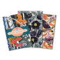 Little Notebook Sets