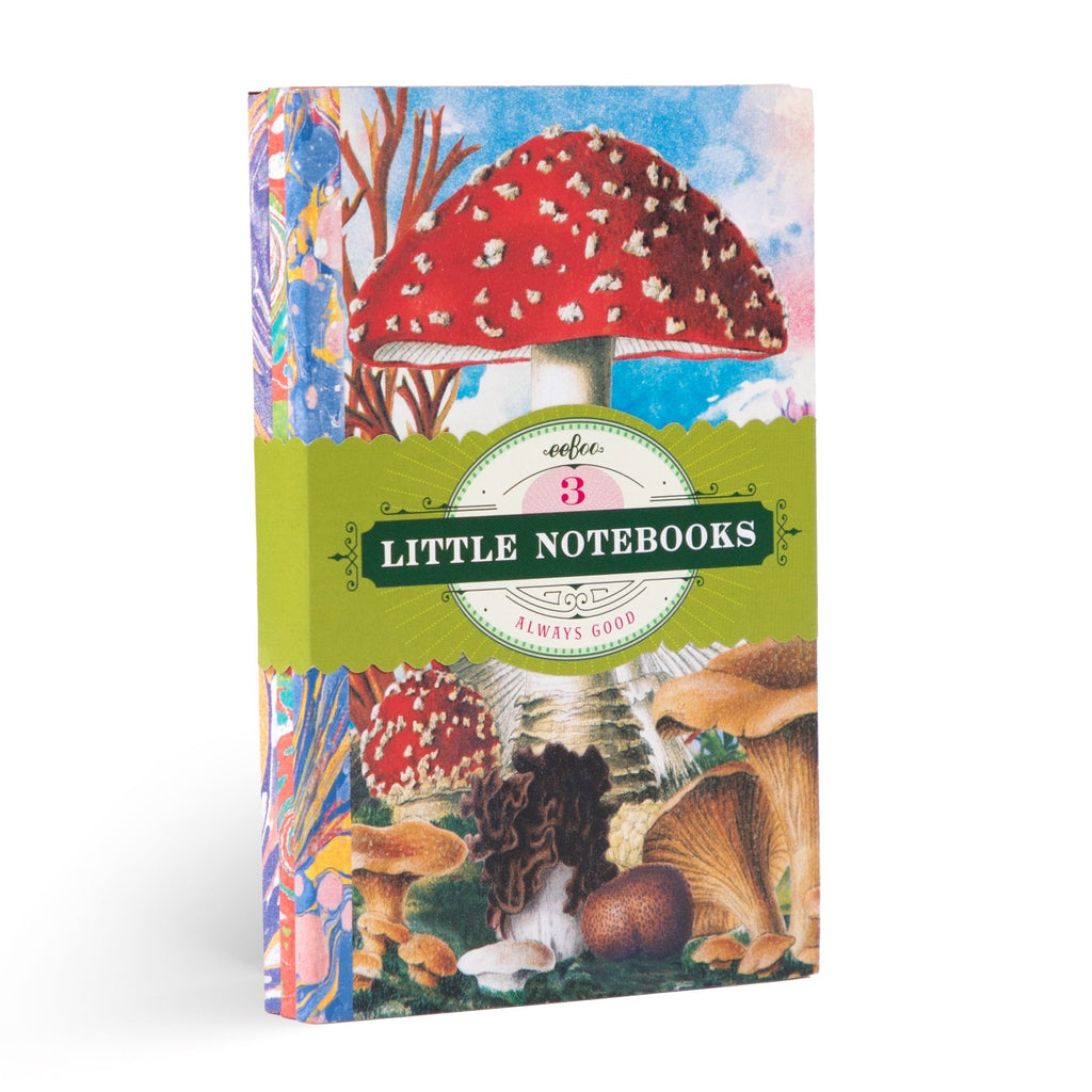 Fumiha's Little Book Set