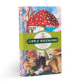 Fumiha's Little Book Set