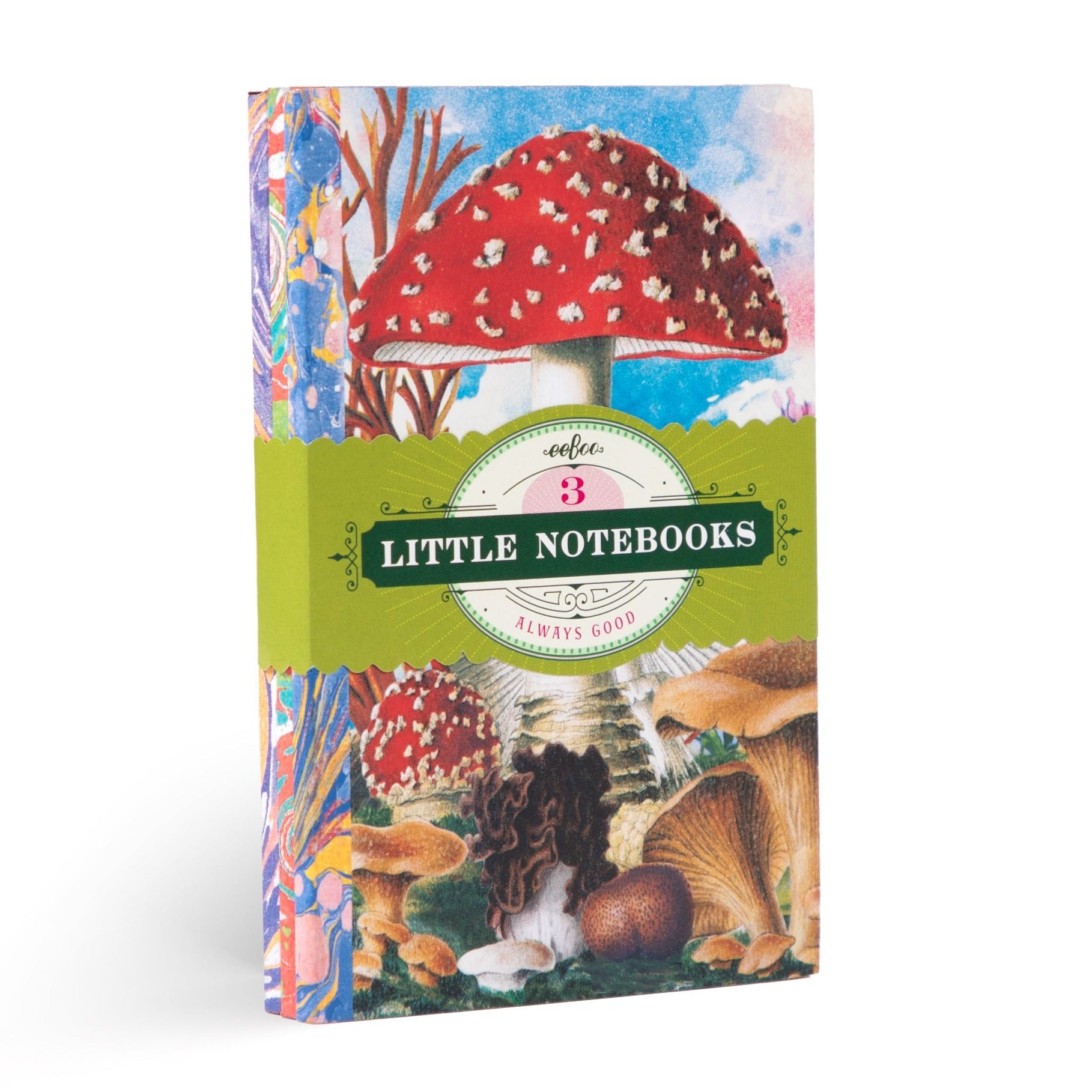 Fumiha's Little Book Set