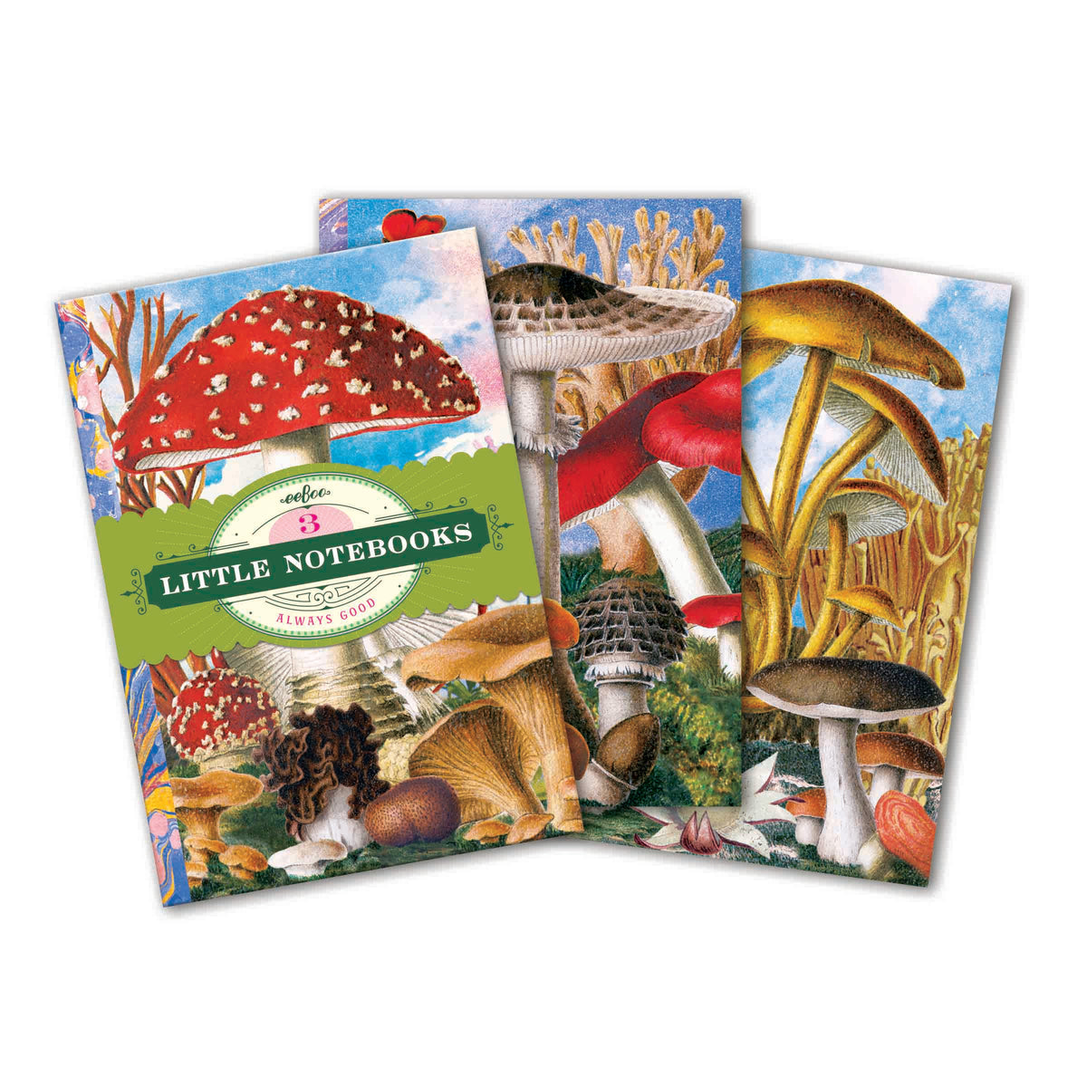Little Notebook Sets