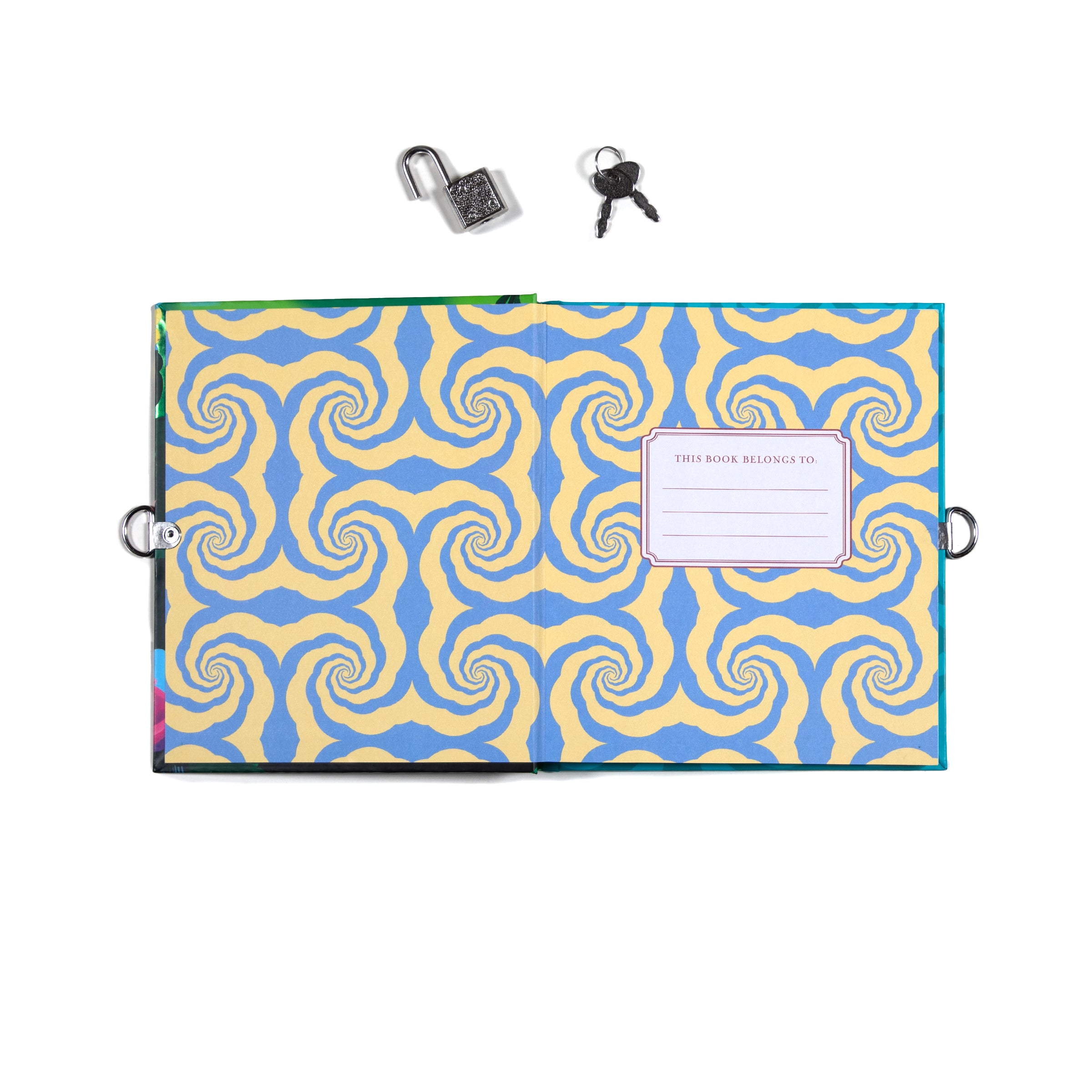 BACK ORDER Axolotl Journal