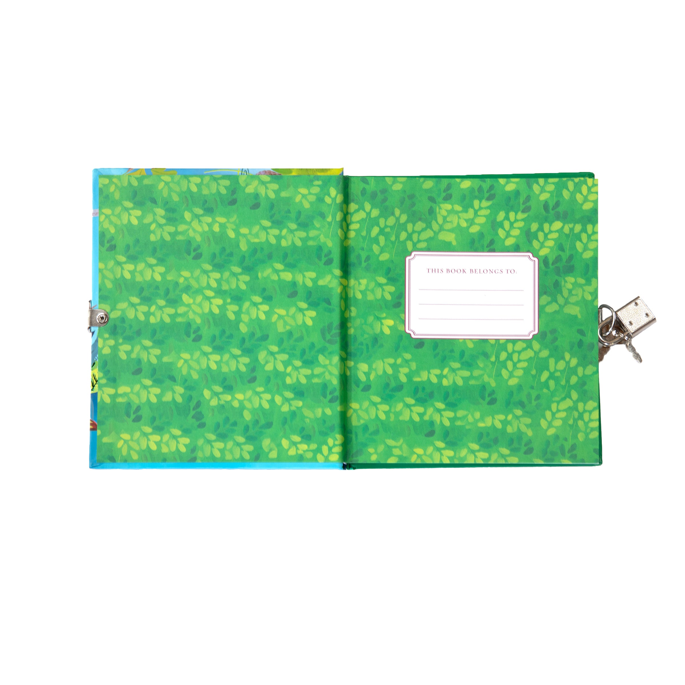 Rainforest Animals Journal