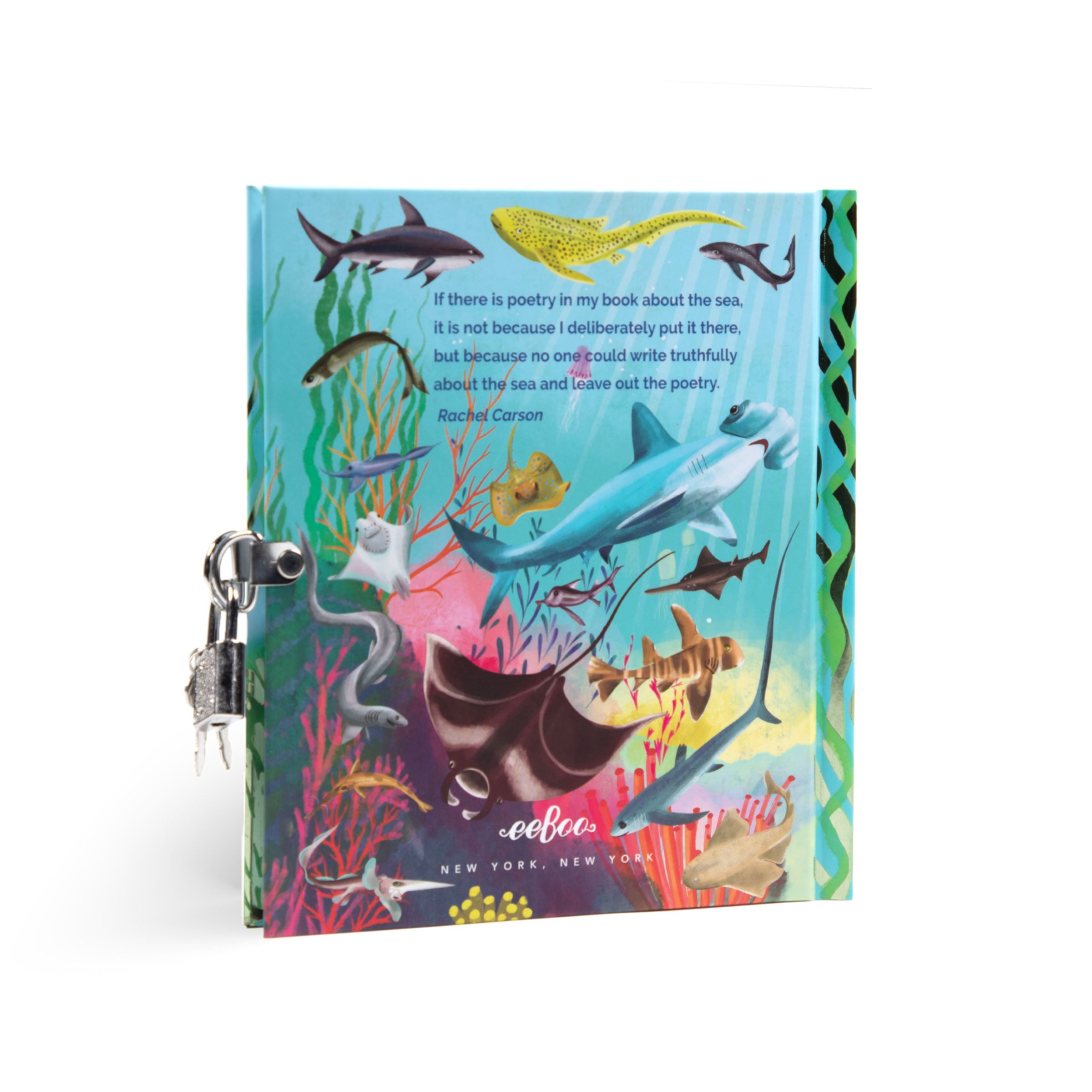 Sharks and Friends Journal