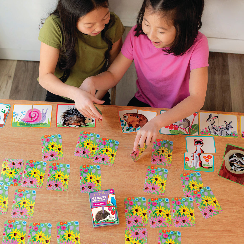 Meadow Memory Match & Make