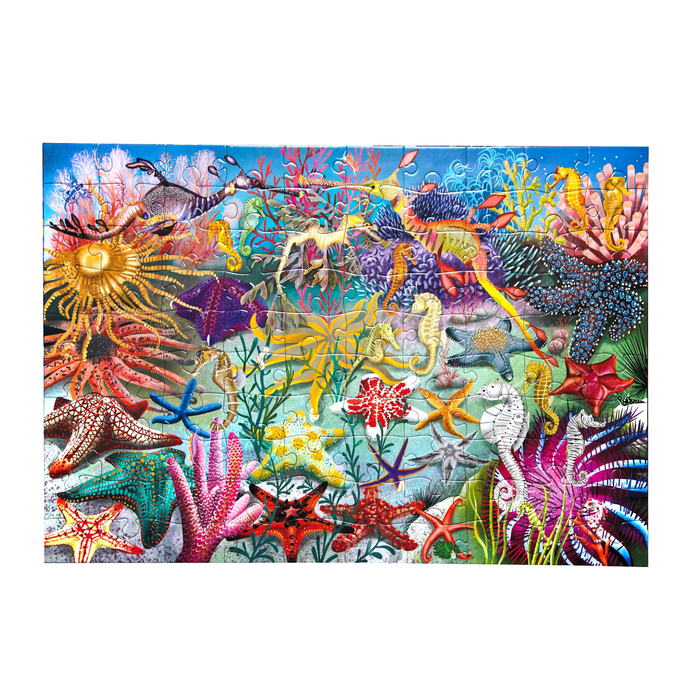 Seahorses, Sea Stars & Sea Slugs 100 Pc Puzzle