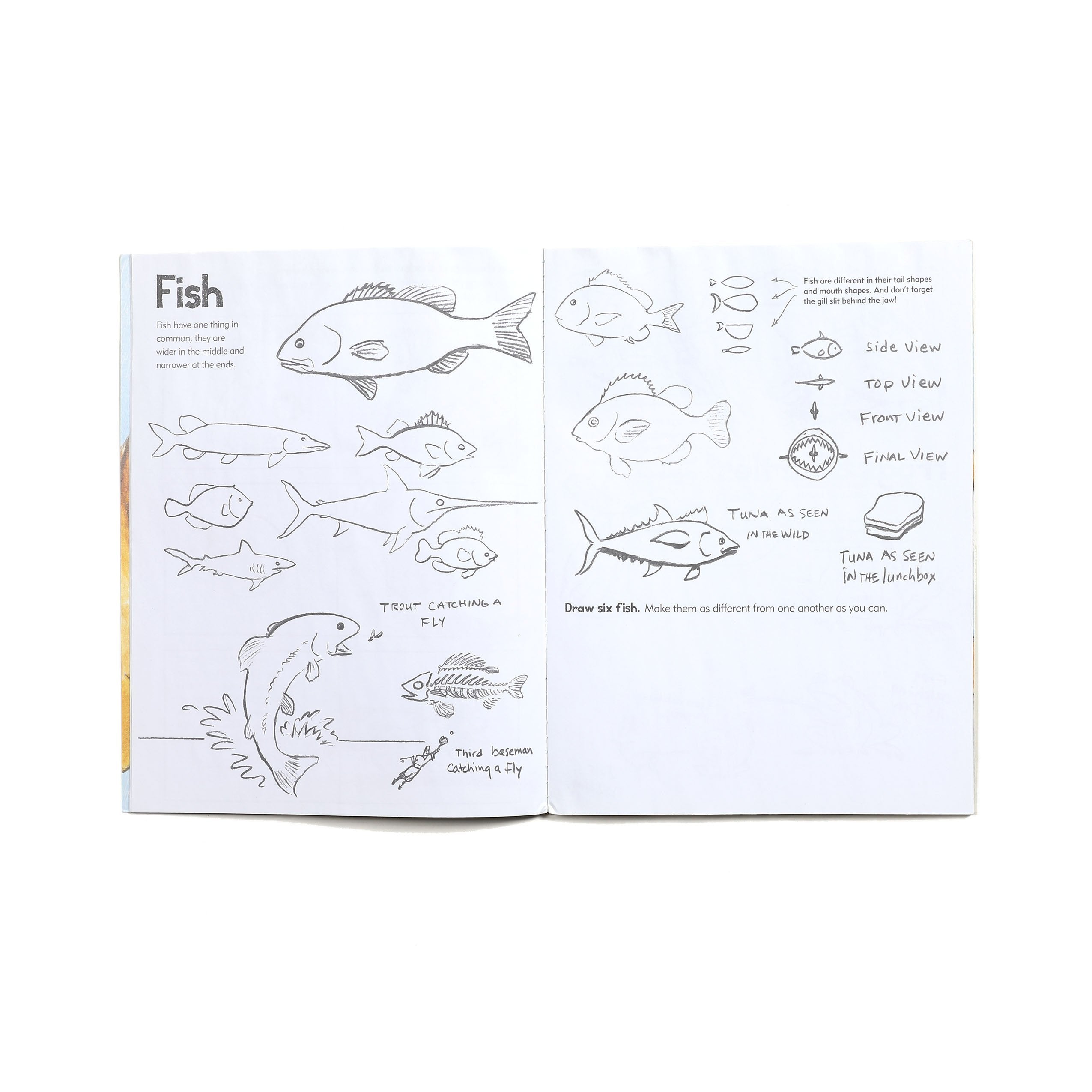 Learn to Draw Animals with Kevin Hawkes
