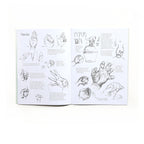 Learn to Draw People with Kevin Hawkes